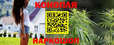 a pvp Гусев