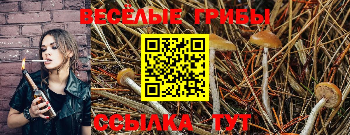 Карабулак  Псилоцибиновые грибы Magic Shrooms  Вход с VPN 