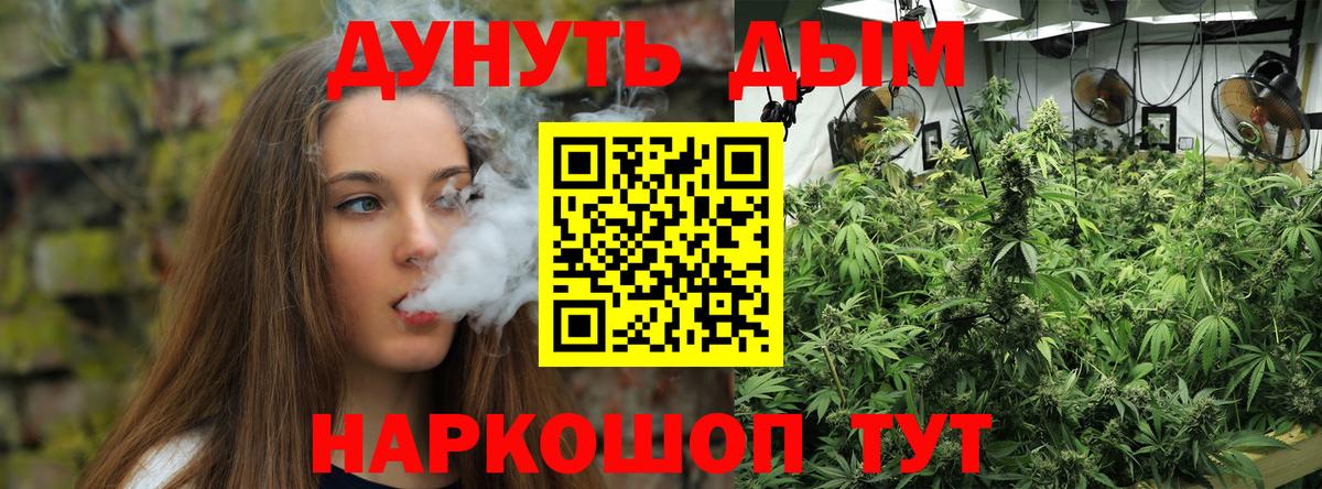 Бошки марихуана VHQ  Вход с VPN  Конопля сатива  Каннабис White Widow  Карабулак 
